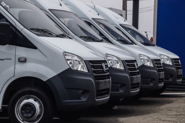 Фото: © Леонид Еремейчук / Фотобанк Лори