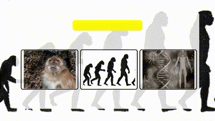 Квантовый взрыв, Дарвин, реинкарнация или божественный замысел? 🤯 Давайте разберёмся, кто мы и откуда. 👉 Подробнее: https://www.mariatorska.com/magic-services