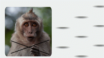 Ты — не просто эволюция. Ты — замысел. ✨ Кто стоит за созданием мира — Бог, Богиня или Элохим?
🔮 Смотри видео: https://www.tiktok.com/@taromami/video/7507266944299502854