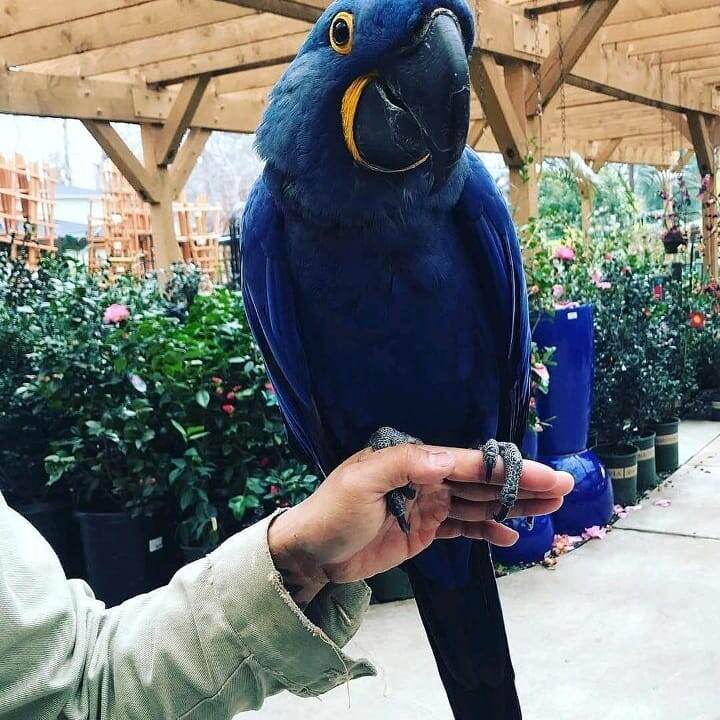 Изображение из интернета