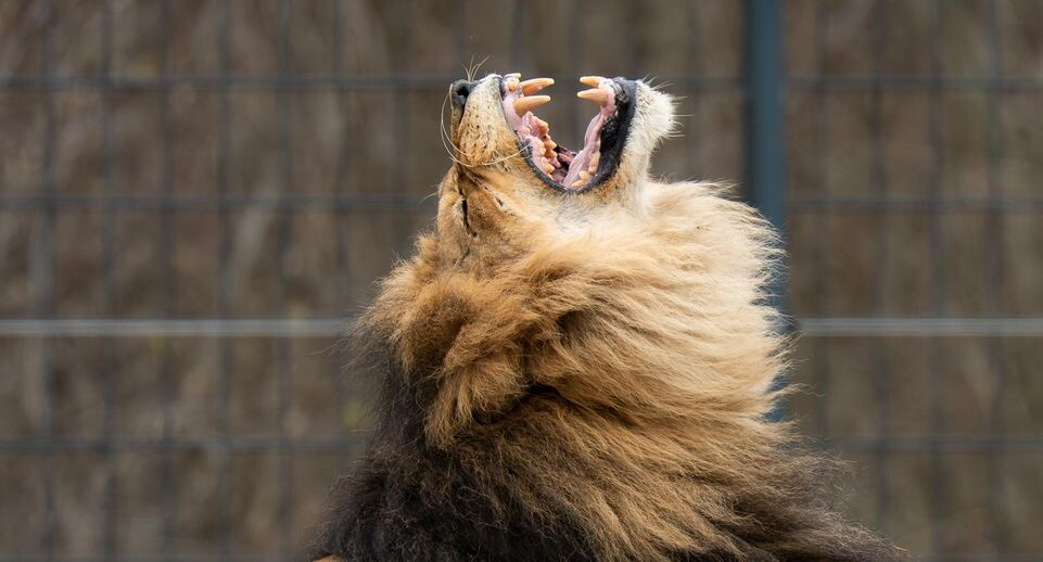    Silas Stein/dpa / www.globallookpress.com