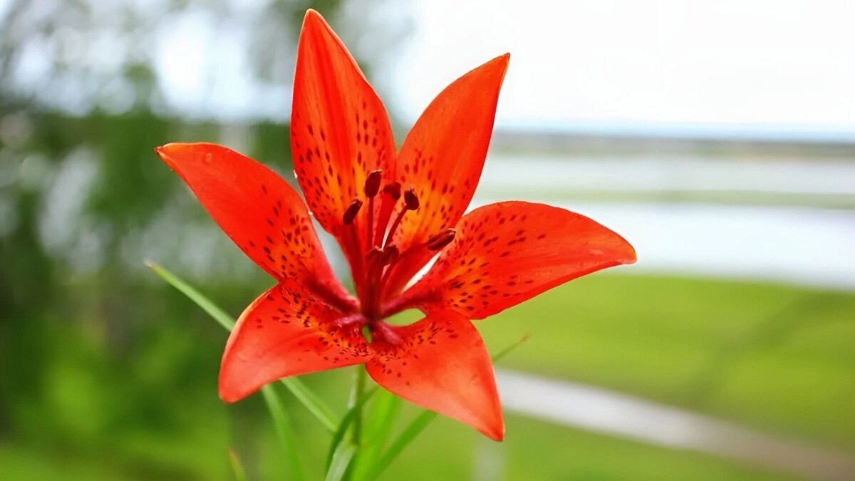     Источник: transsibinfo.com