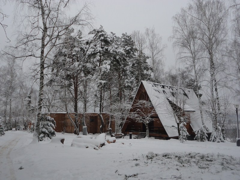 Лес и домики турбазы