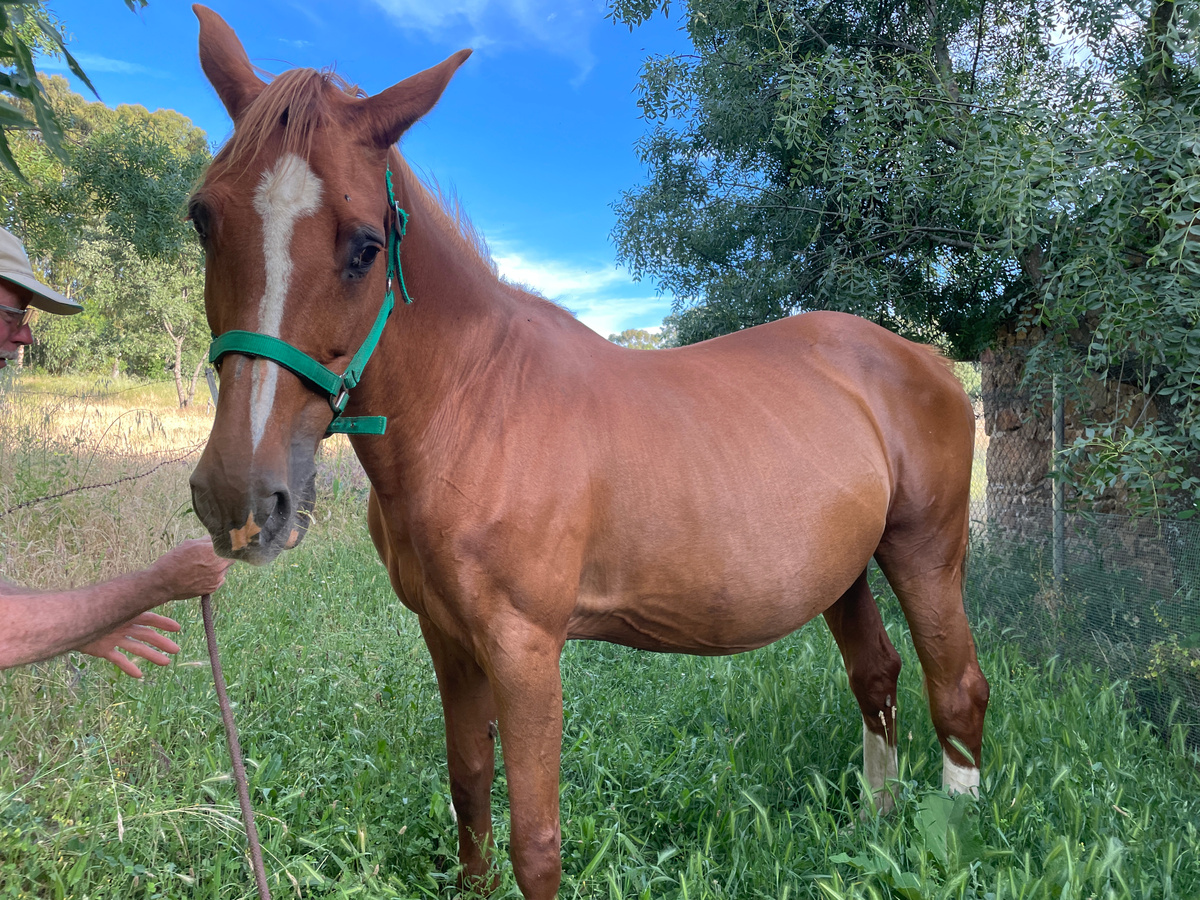 Ракурс неудачный Не очень видно, насколько она раздулась