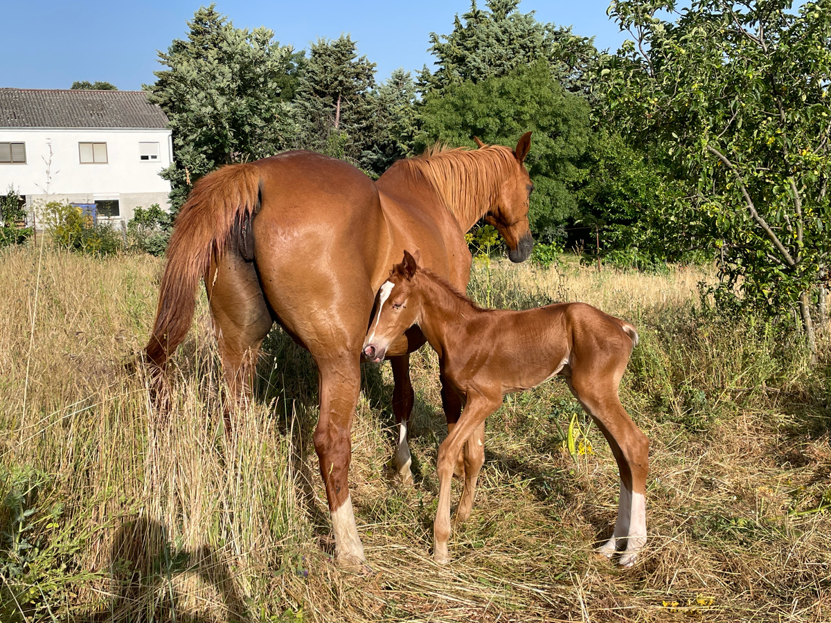 Только что родился