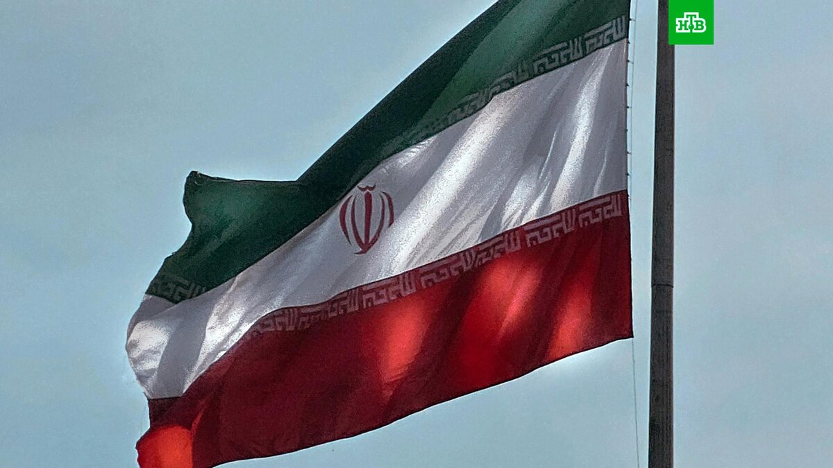    Фото: Mahdi Amiri / unsplash.com