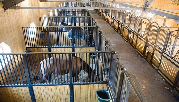 Комнатки, в которых стоят лошади в конюше называются не стойла, а денники