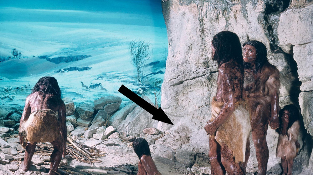    Денисовский человек ТАЙНА третьей ветви человечества раскрыта