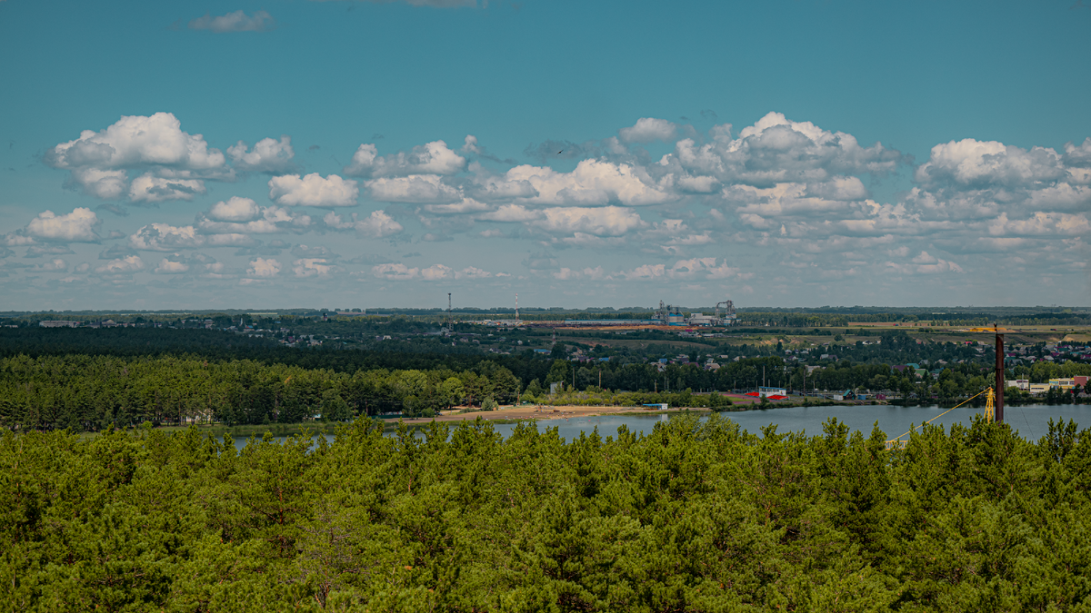 Ленточные боры произрастают вблизи населенных пунктов. Такие леса требуют постоянного ухода 