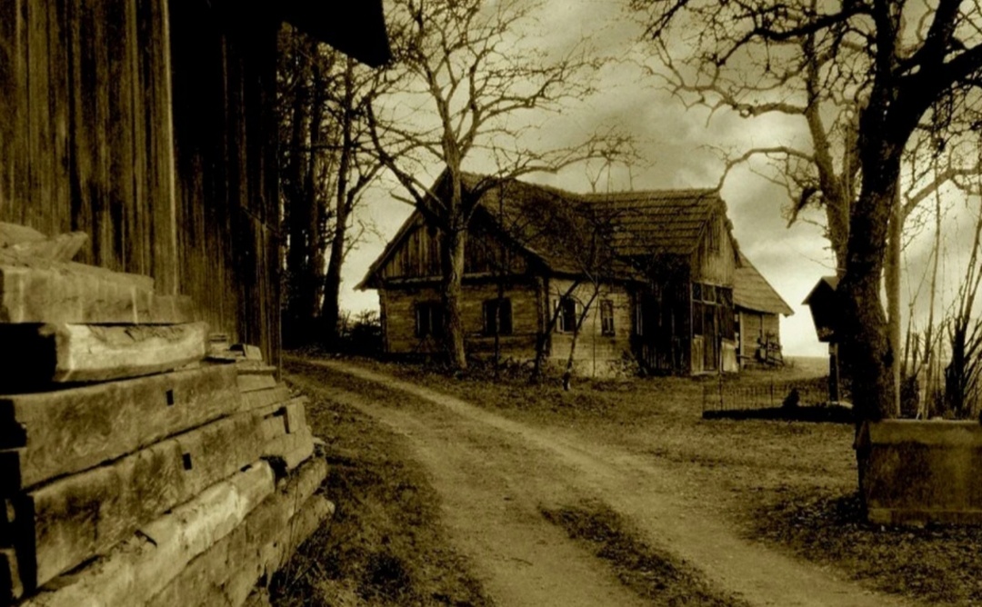 Картинка из общего доступа. 