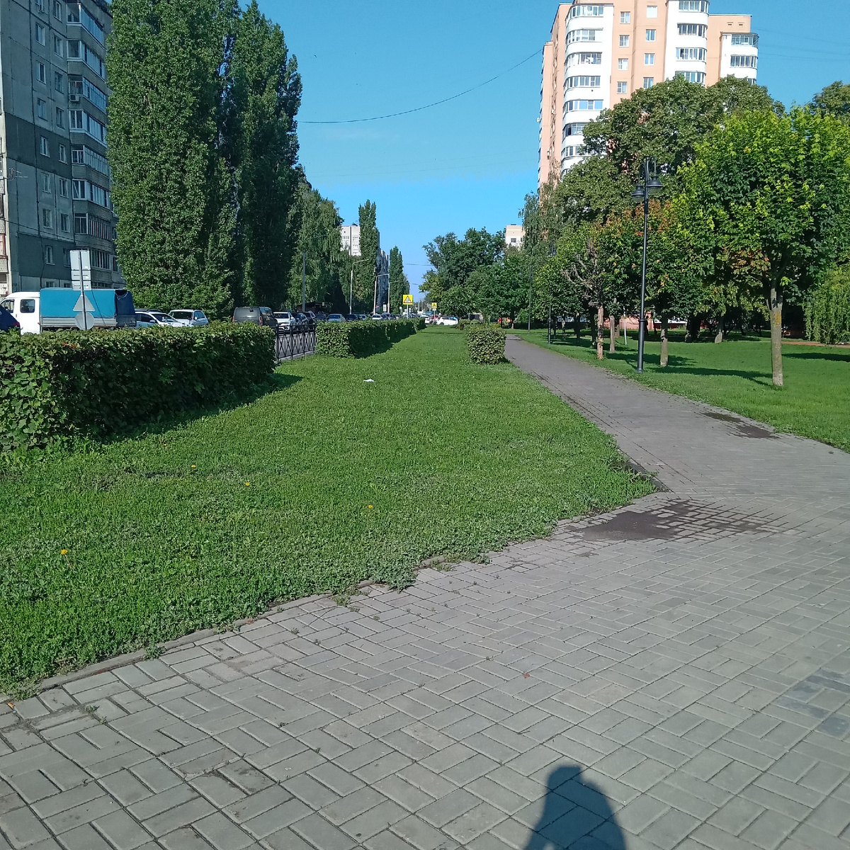 Нынче солнечно