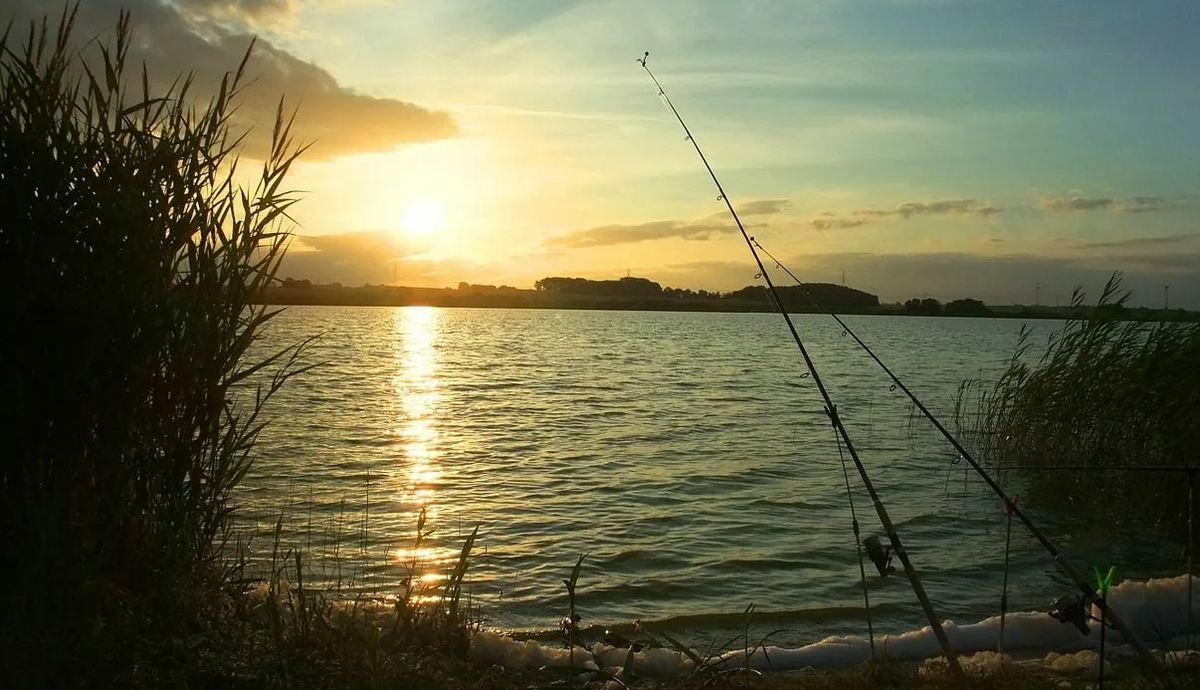 Рыбалка летом. Источник фото krd.ru