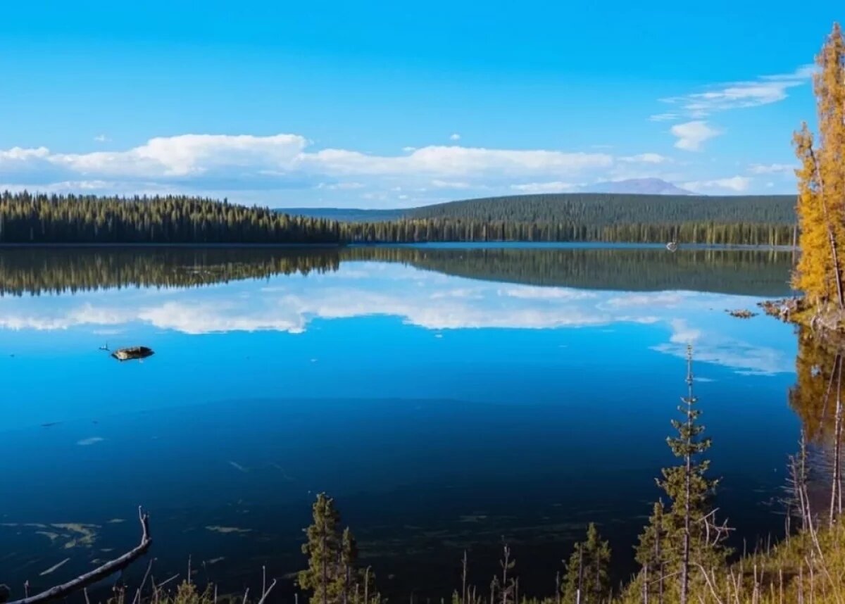    Фото иллюстративное