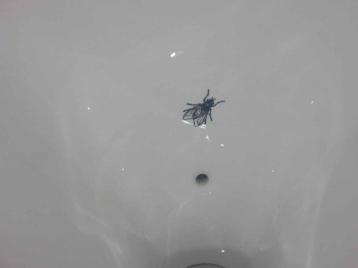 Муха в амстердамском аэропорту