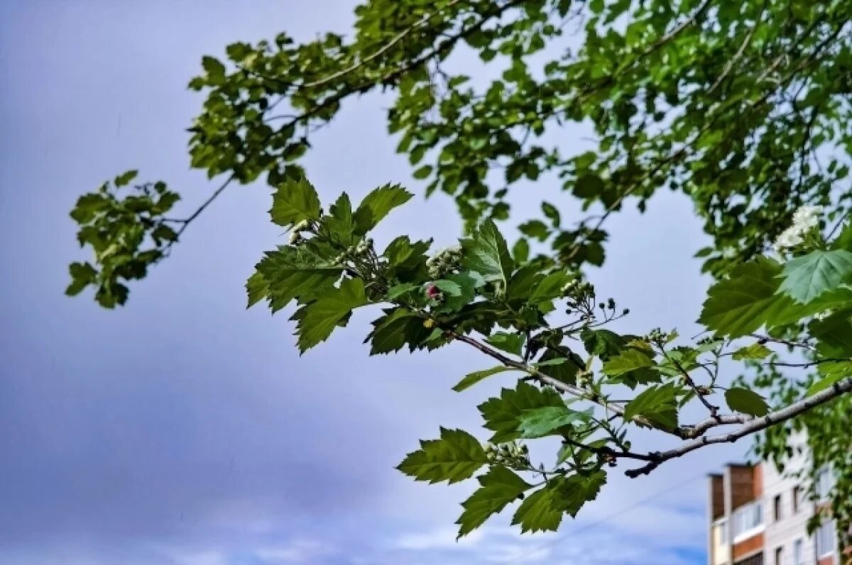    Томичей во вторник ожидают ливни и сильный ветер