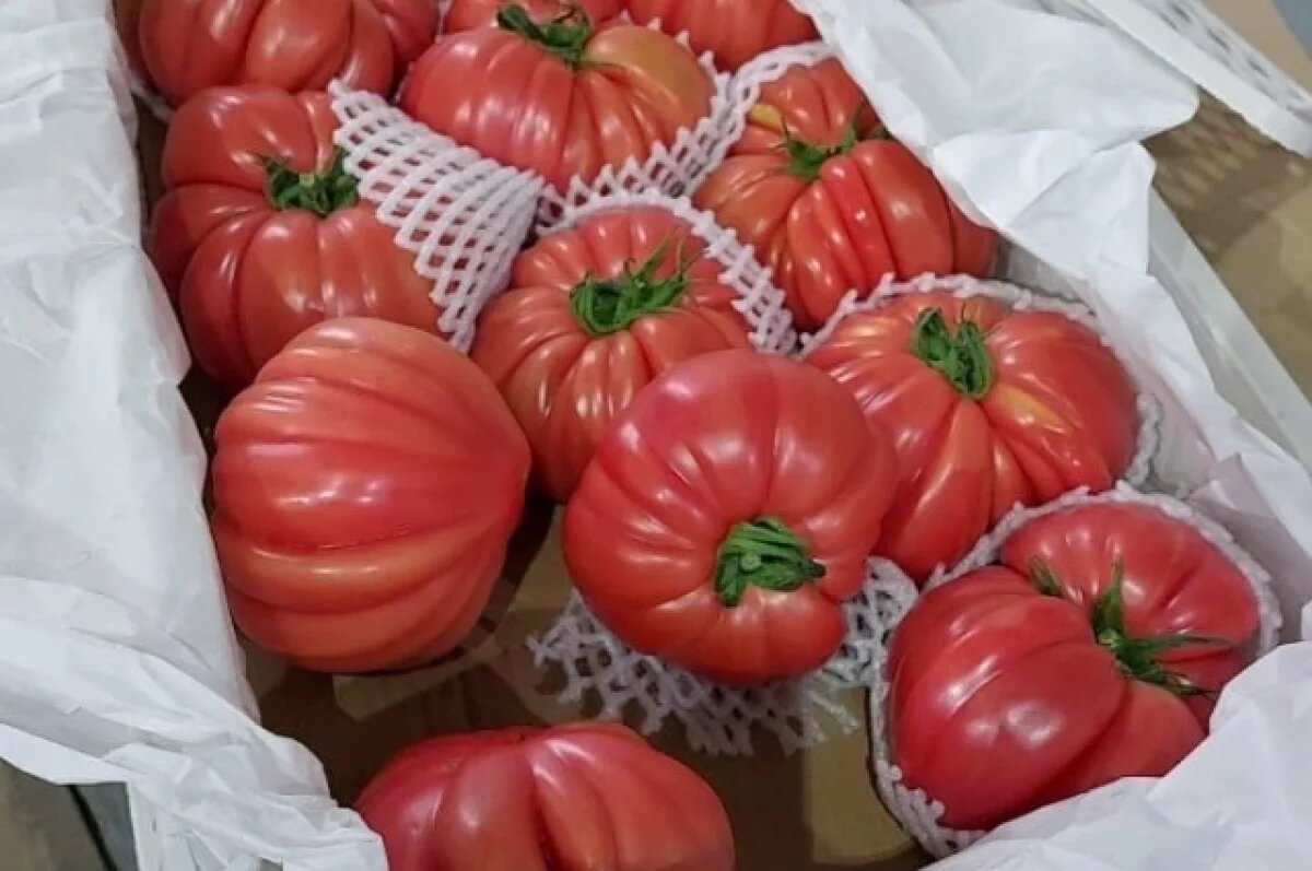    В Хабаровске выявили опасный вирус в томатах, ввозимых из Китая