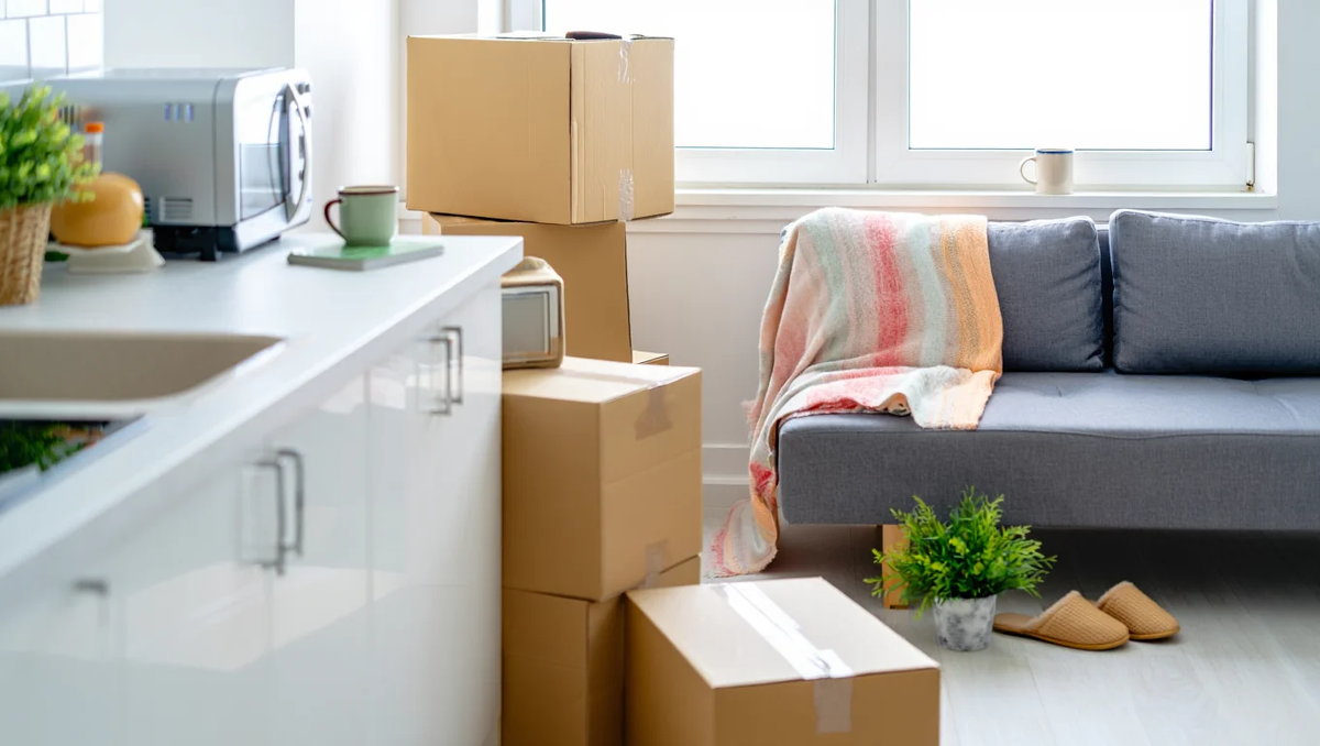 Минималистичная квартира, в которую только начинают проникать тёплые, уютные детали — первые признаки настоящей жизни.

