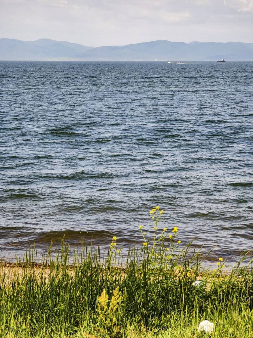    Источник фото: