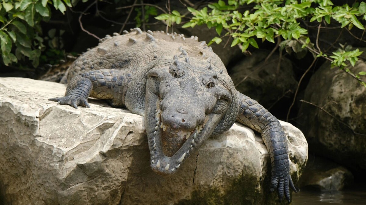    Фото: Intothegreentravel/Shutterstock/Fotodom