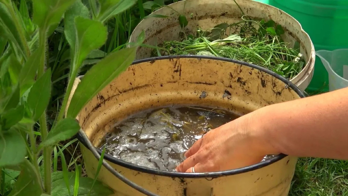 Яндекс картинки