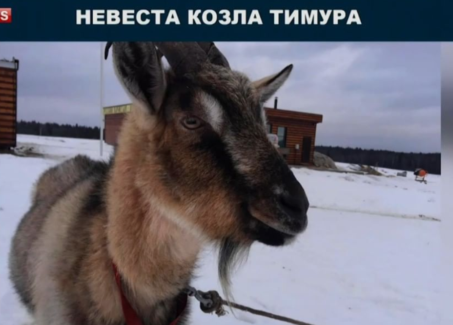 -10
