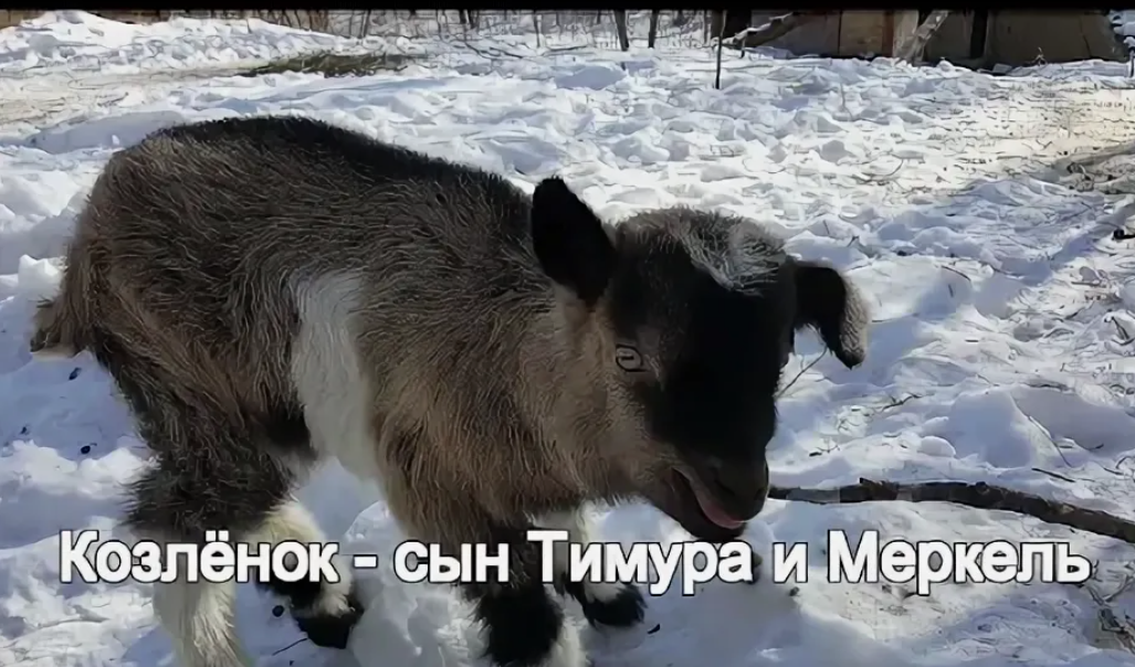 -12
