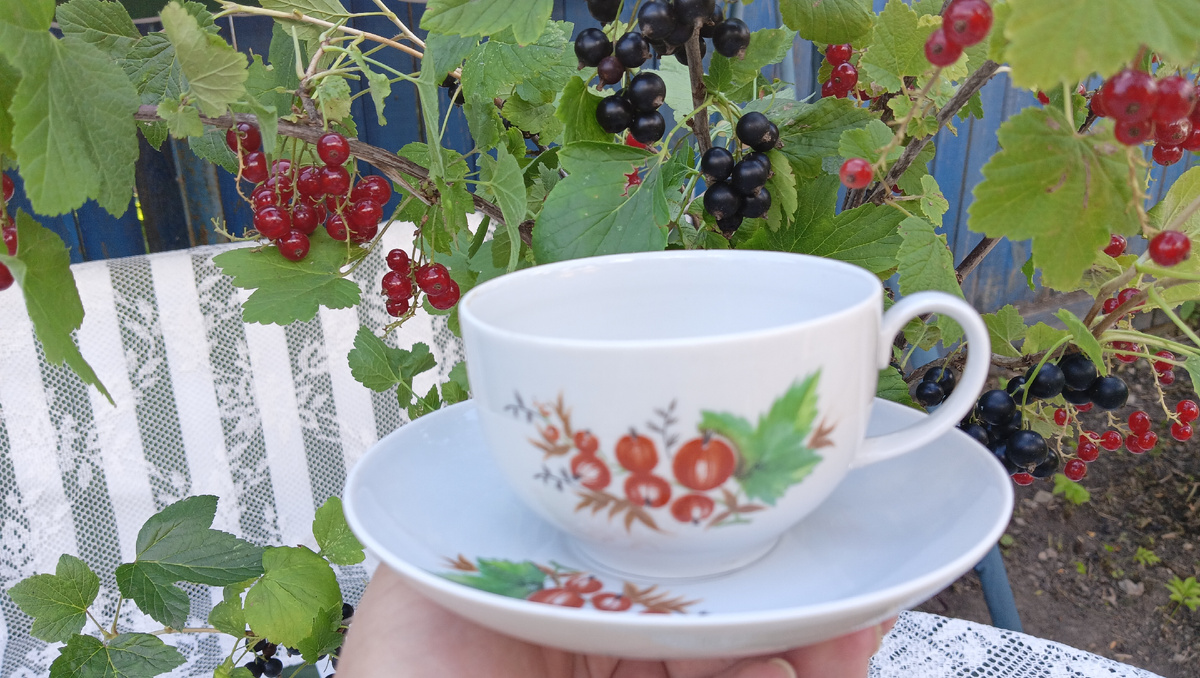Ретро чай в день смородины. Фото автора