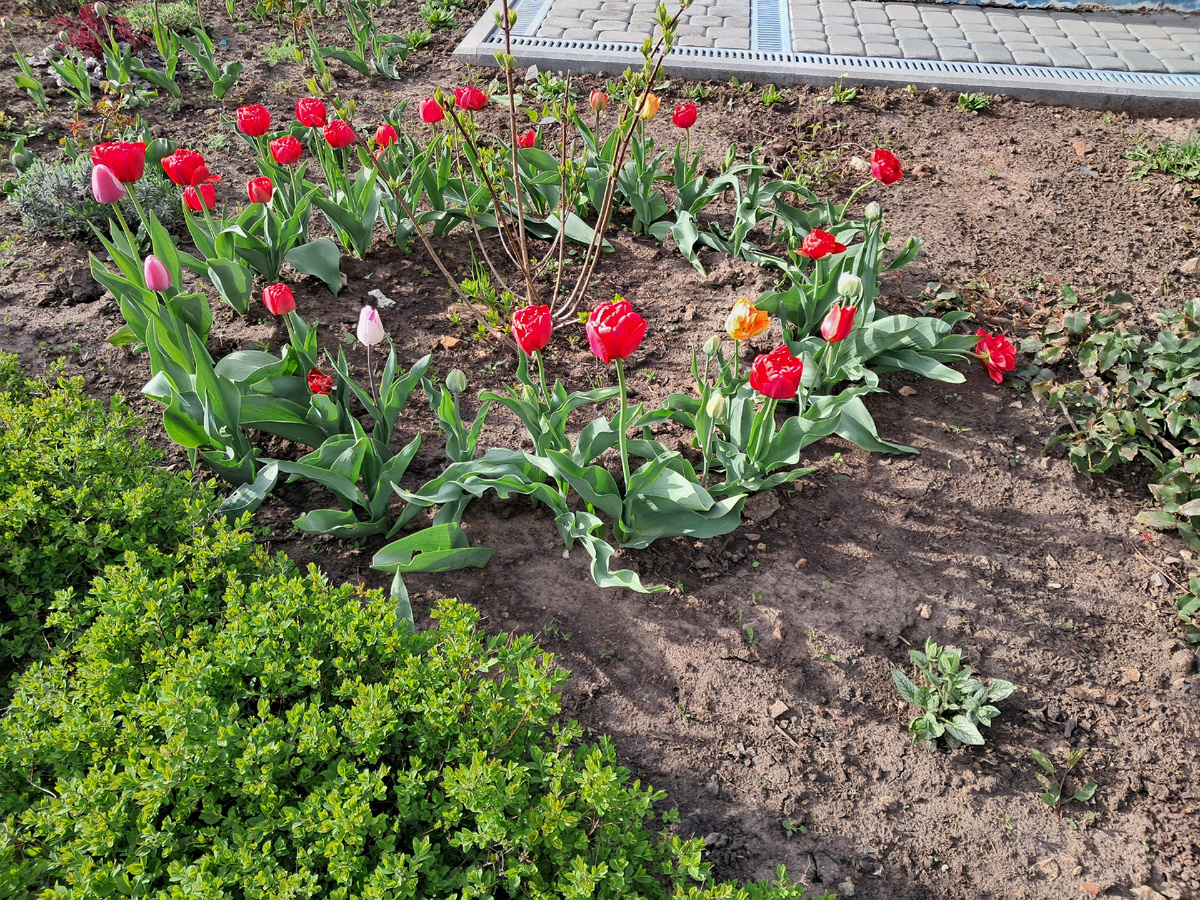 Во дворе Боголюбского монастыря