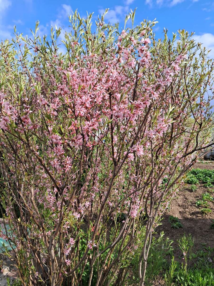 Конец апреля