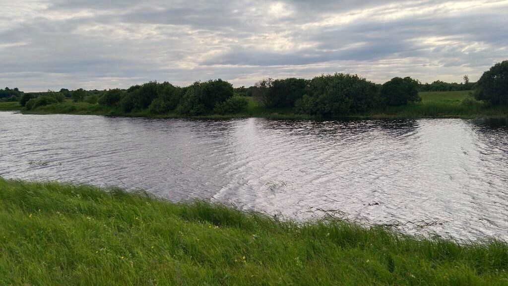     Источник: МЧС ТО