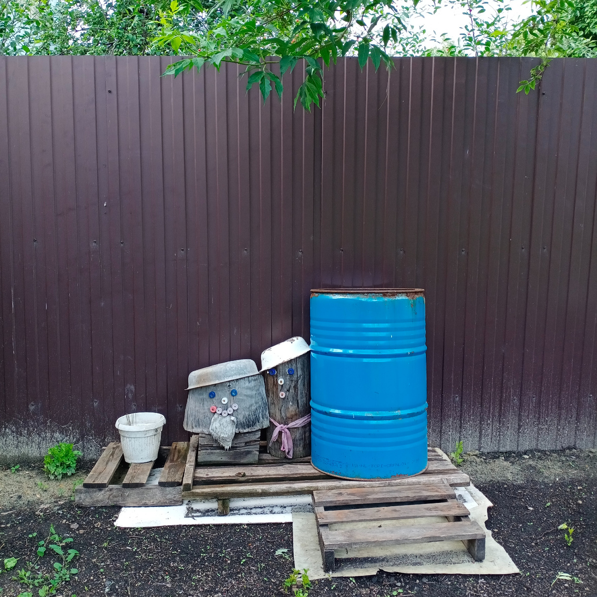 Этим пенькам уже много лет и они приехали вместе с нами на новое место жительства 