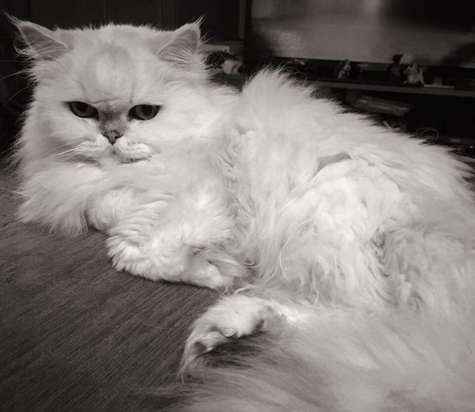 Фото автора. 