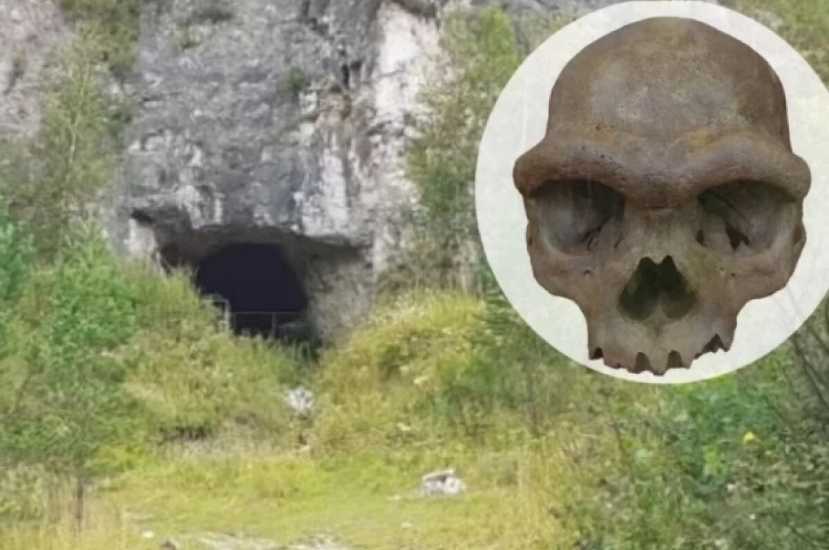    Следы привели на Алтай.