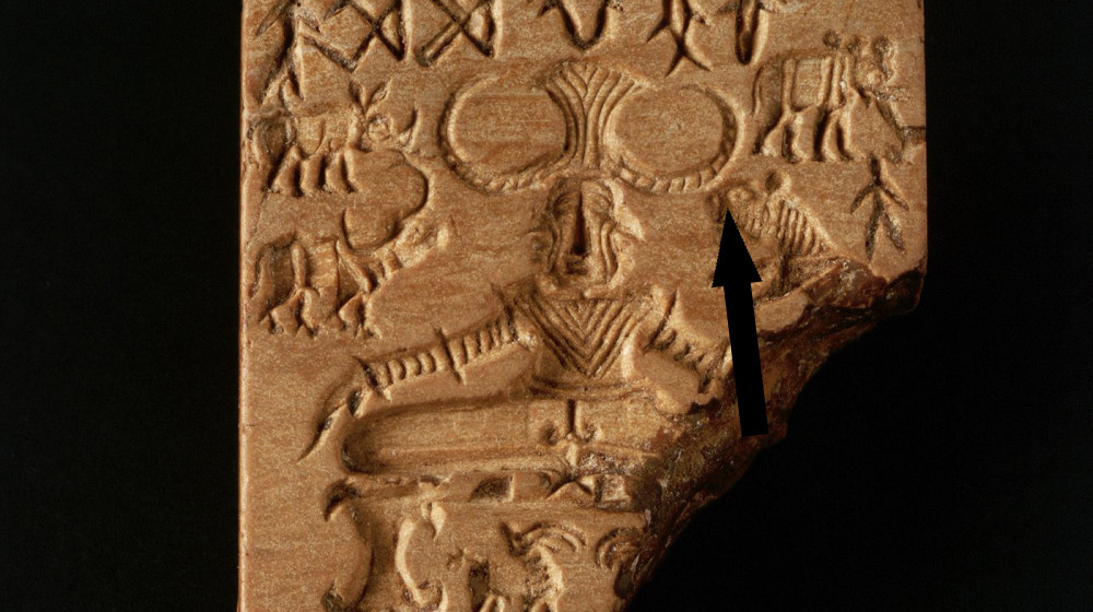    Карта Винланда: легенда или учёная подделка, которая меняет представление о древних цивилизациях