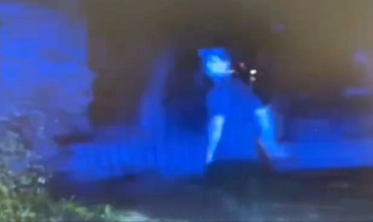    кадр из видео / Госавтоинспекция Кубани