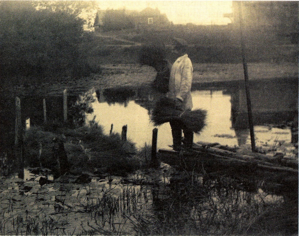 Вымачивание льна (слева – огороженное кольями мочило). Фотография нач. 20 в.