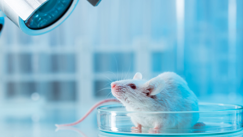   Gettyimages.ru D-Keine