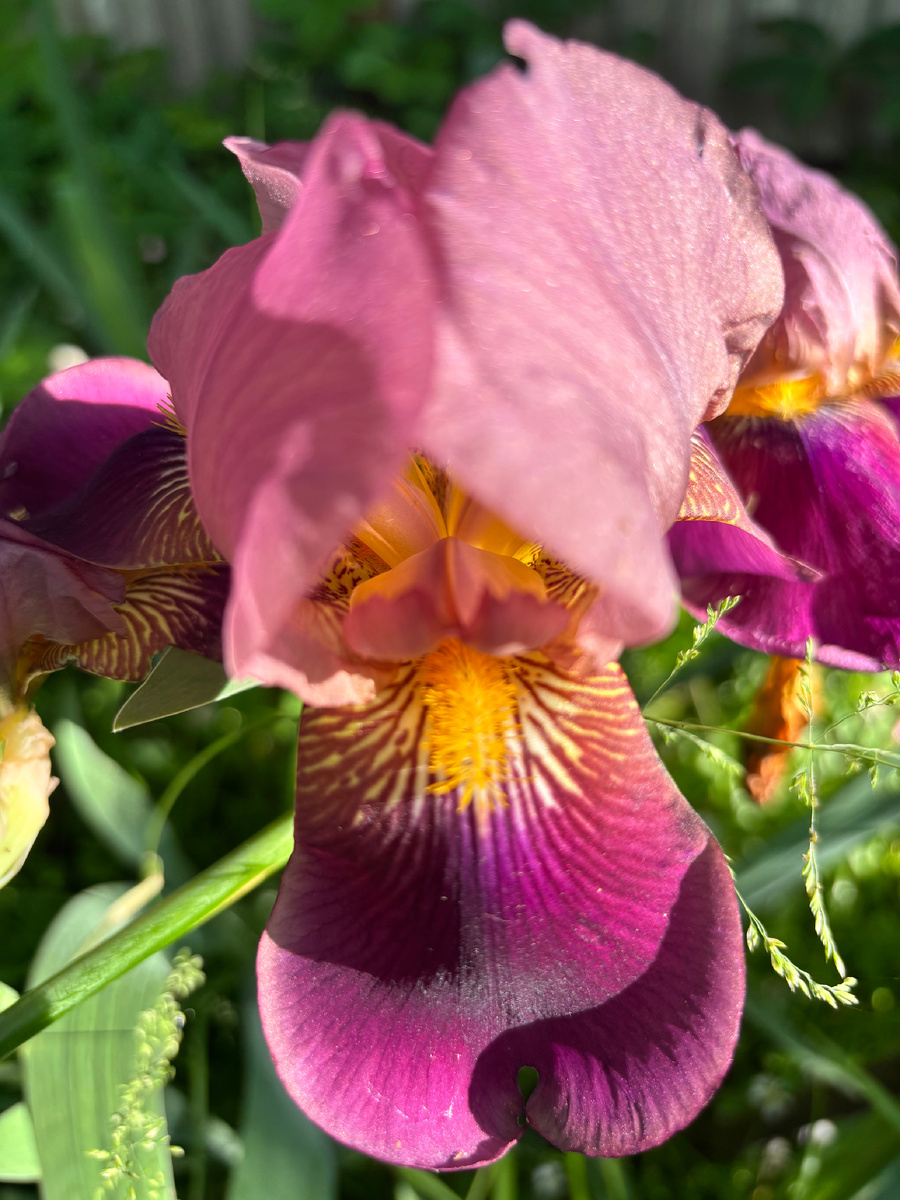 Фото для превью сделано автором 