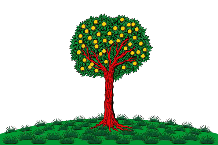 «В серебряном поле на зелёной земле апельсиновое дерево с червлёным (красным) стволом, зелёной кроной и золотыми плодами».