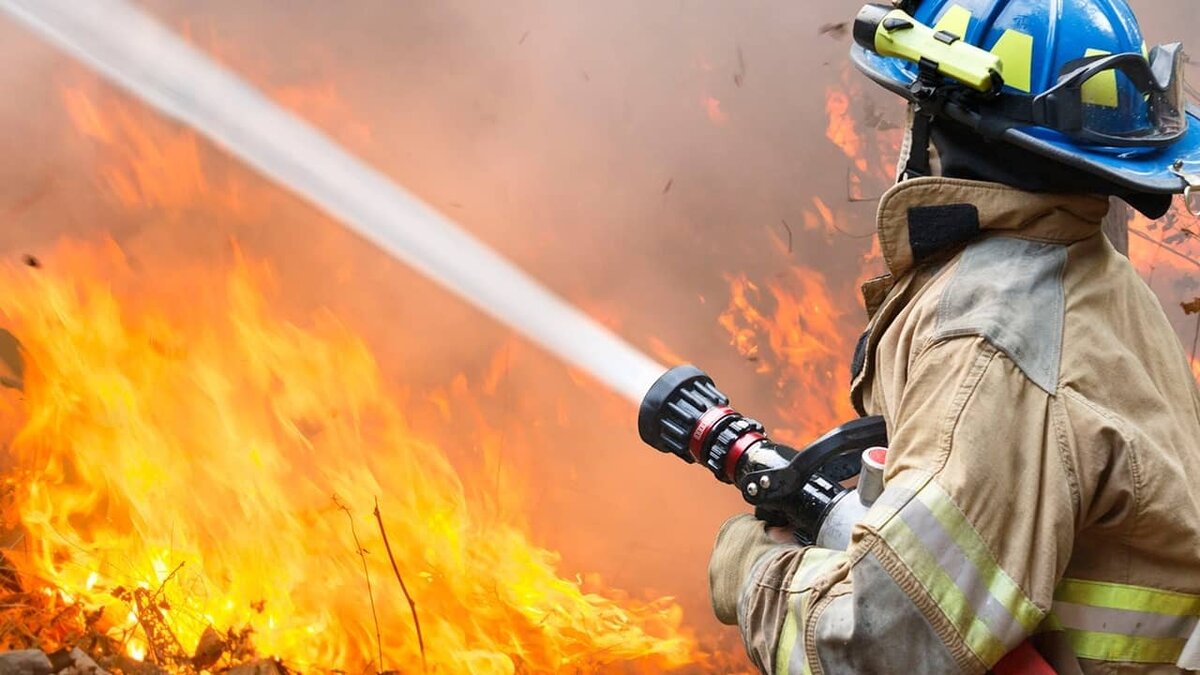 Фото: https://tvzvezda.ru/ (https://mcdn2.tvzvezda.ru/storage/news_other_images/2025/03/03/8c40c76622b24528a07f60661e316869.jpg)