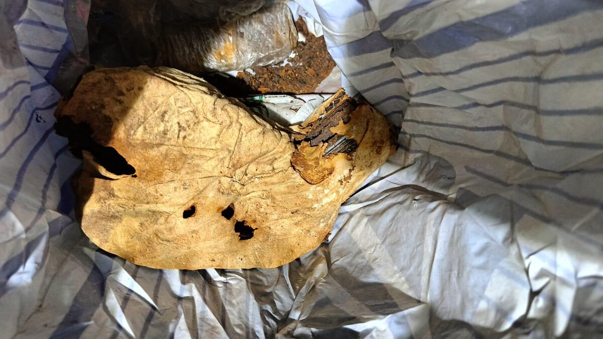    Фото: пресс-служба ГУ МВД по Петербургу и Ленобласти