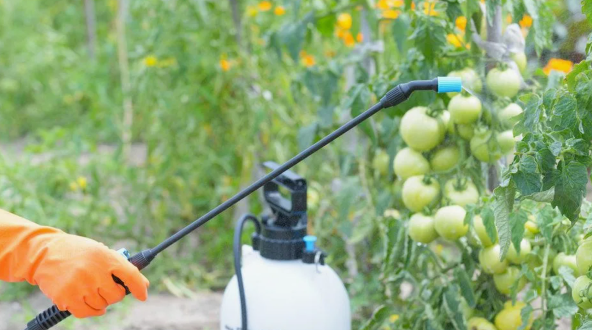 Опрыскивание