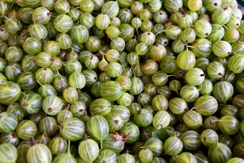     © РИА Новости. Виталий Аньков