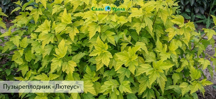 Создать карусельДобавьте описание