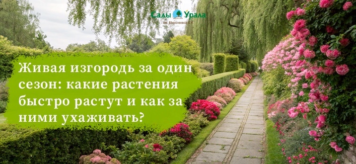 Создать карусельДобавьте описание