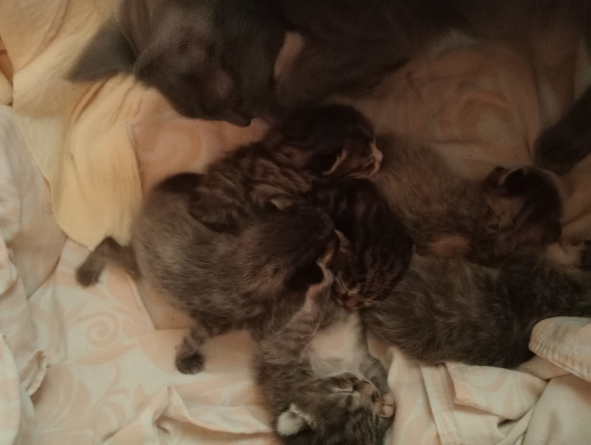 Пересчитывает нас! Да здесь мы! Ходить ещё не умеем!