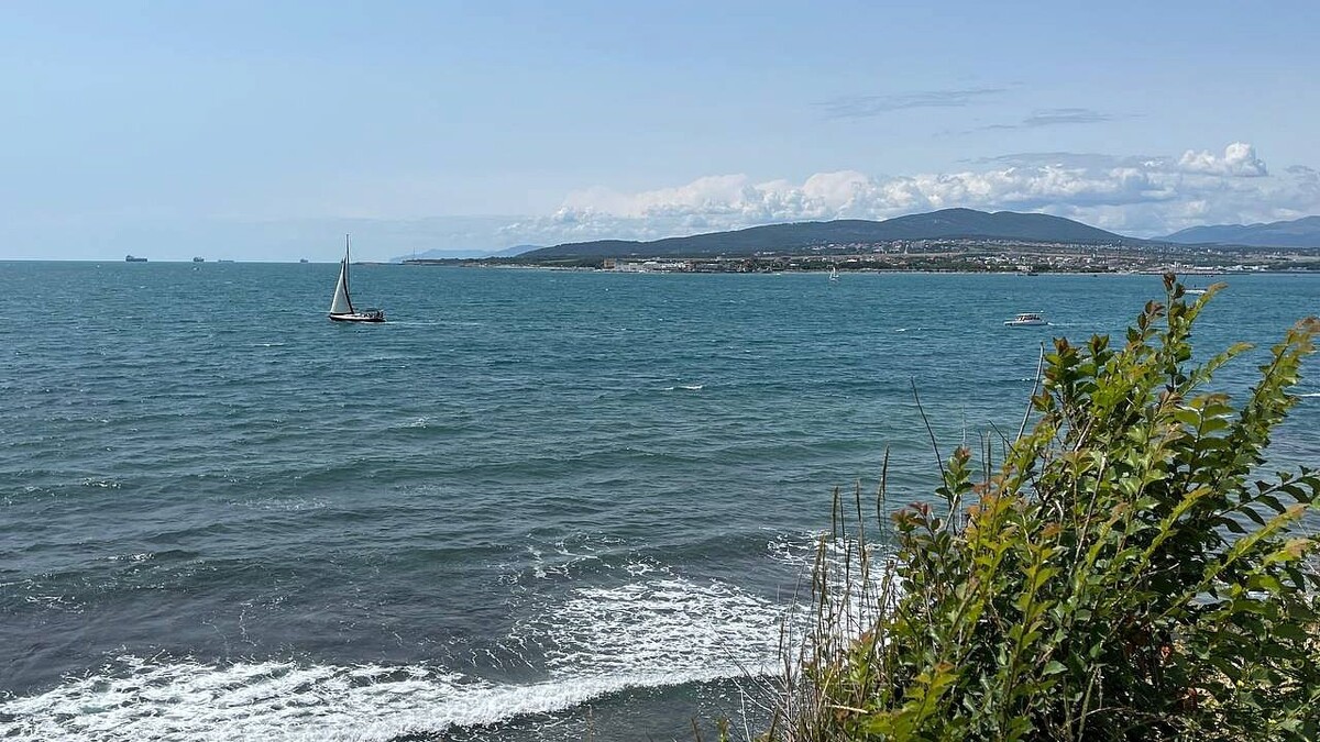    Фото: «Телеканал Краснодар»