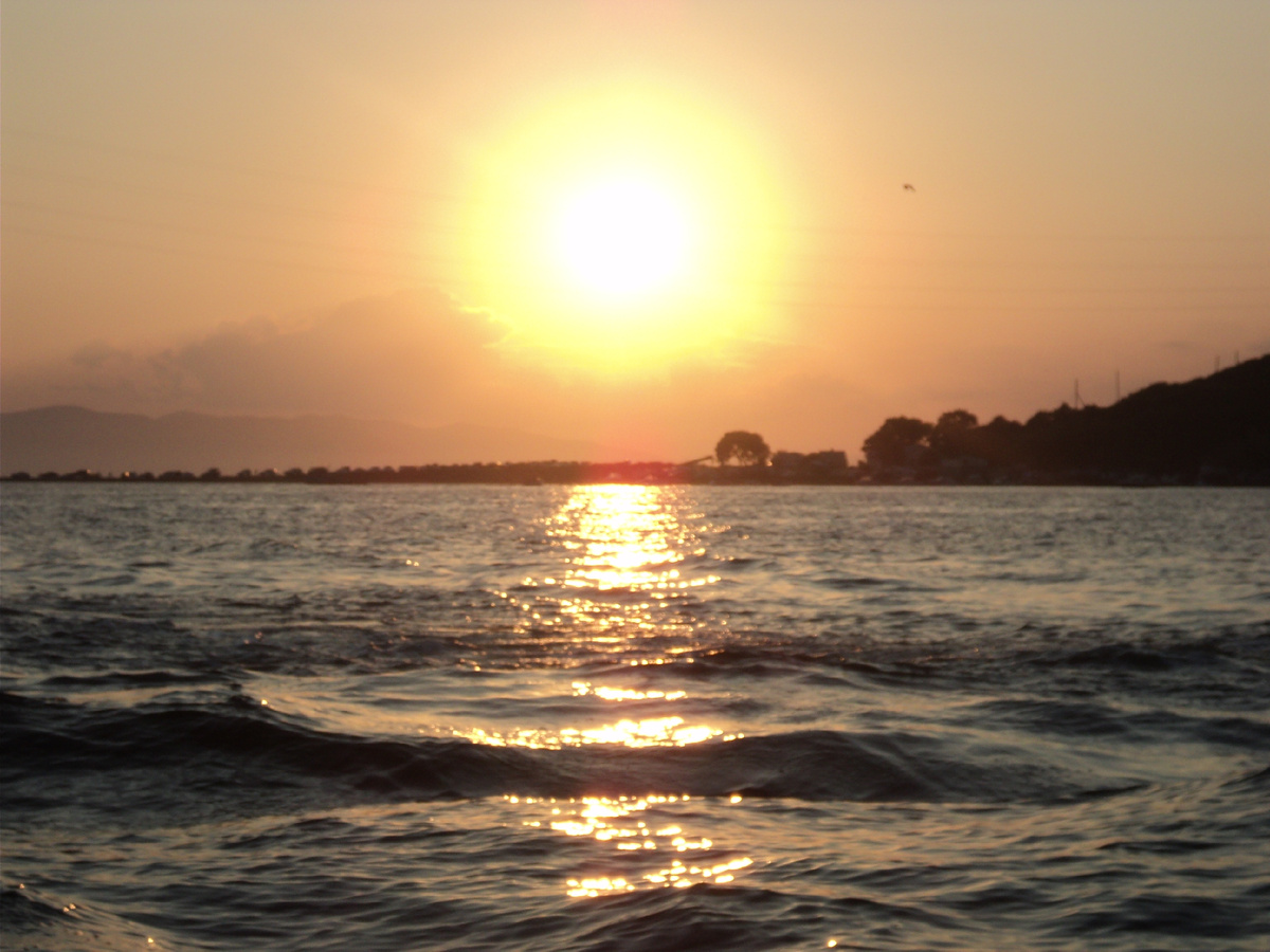 фото  автора