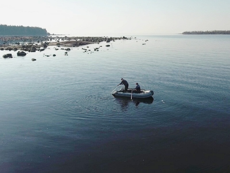 "Мочкуют" сеть под объективом камеры БПЛА