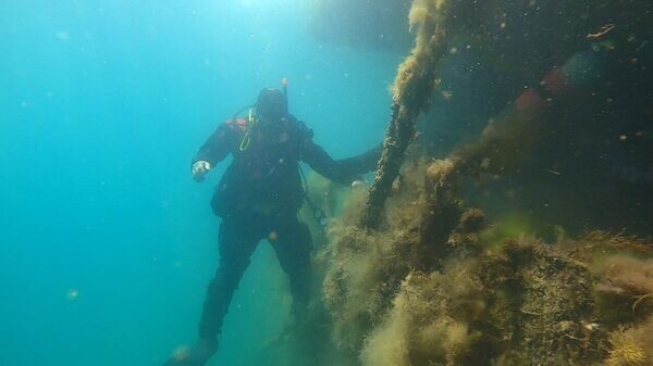    © МЧС Республики Крым